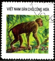 (1976-013) Марка Вьетнам "Макак-резус"   Дикие животные III Θ