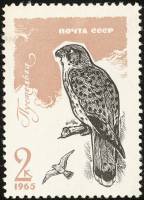 (1965-134) Марка СССР "Пустельга"    Хищные птицы II O