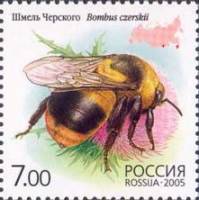 2005-047 Марка Россия Шмель Черского  Фауна. Насекомые: шмели III O