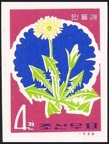 (1966-003) Марка Северная Корея &quot;Одуванчик лекарственный&quot;   Полевые цветы III Θ