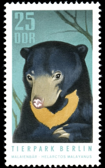 (1970-095) Марка Германия (ГДР) &quot;Малайский медведь&quot;    Зоопарк, Берлин II Θ