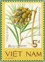 (1986-112a) Марка Вьетнам "Сосна Кремпфа"  Без перфорации  Редкие растения III Θ