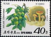 (1989-023) Марка Северная Корея "Орех серый"   Грибы и ягоды III Θ