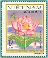 (1980-005a) Марка Вьетнам "Лотос орехоносный"  Без перфорации  Водяные цветы III Θ
