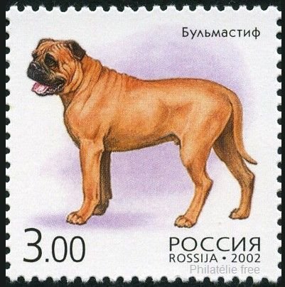 2002-023 Марка Россия Бульмастиф  Фауна. Собаки III Θ