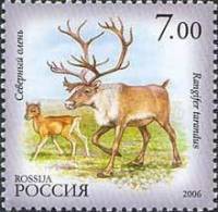 2006-079 Марка Россия Северный олень  Фауна Республики Саха (Якутия) III O