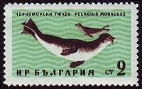 (1961-048) Марка Болгария "Тюлень черноморский"   Фауна Чёрного моря III Θ