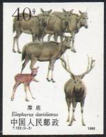 (№1988-2214) Марка Китай 1988 год "David039s пере олень Elaphurus davidianus", Гашеная