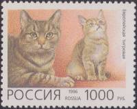1996-007 Марка Россия Европейская тигровая  Домашние кошки III O