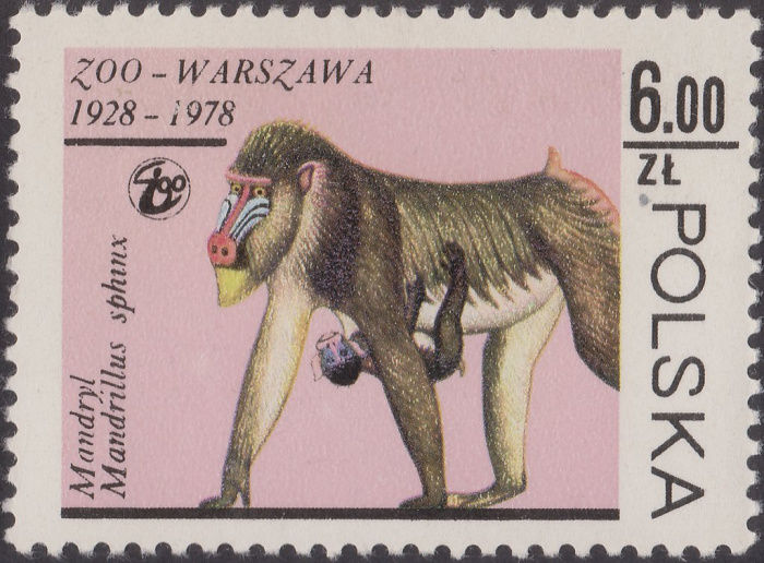 (1978-053) Марка Польша &quot;Мандрил&quot;    50 лет Зоопарку Варшавы II Θ