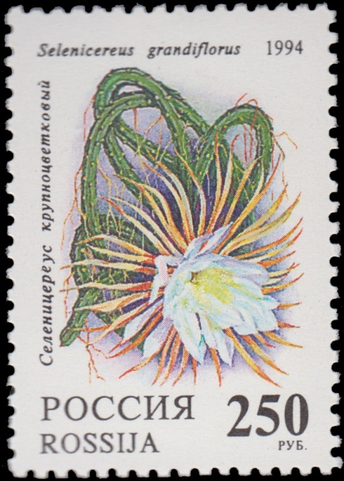1994-009 Марка Россия 250 руб Селеницериус  50 шт ОПТ Комнатные растения Кактусы III O