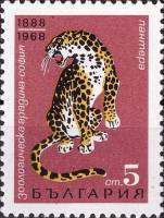 (1968-045) Марка Болгария "Леопард"   80-летие Софийского зоопарка I Θ