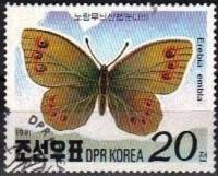 (1991-017) Марка Северная Корея "Чернушка Эмбла"   Бабочки гор мира III Θ