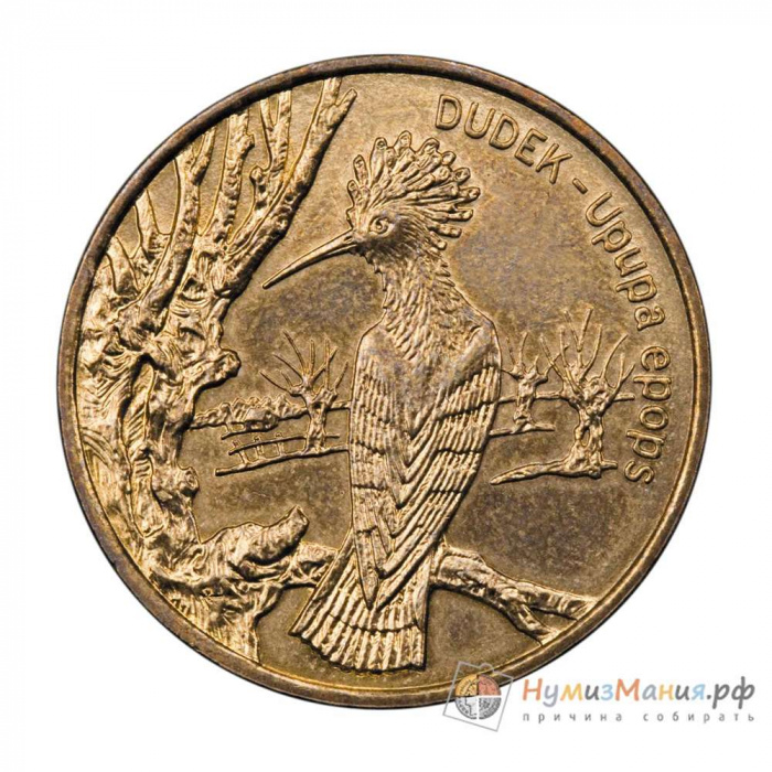 (033) Монета Польша 2000 год 2 злотых &quot;Удод&quot;  Латунь  UNC