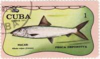 (1971-062) Марка Куба "Альбула"    Спортивная рыбалка III Θ