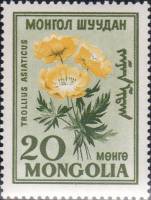 (1960-008) Марка Монголия "Купальница азиатская "    Цветы III Θ