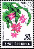 (1990-027) Марка Северная Корея "Эпифиллум "   Кактусы III Θ