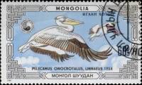(1986-068) Марка Монголия "Пеликаны"    Охраняемые животные: пеликаны III Θ
