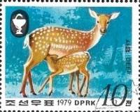 (1979-093) Марка Северная Корея "Олененок с мамой"   Пятнистый олень III O