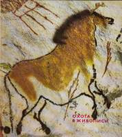 Книга "Охота в живописи" Д. Надь Будапешт 1973 Твёрдая обл. 130 с. С цветными иллюстрациями