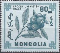 (1968-015) Марка Монголия "Брусника"    Ягоды III Θ