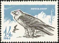 1965-139 Марка СССР Орёл-бородач   Хищные птицы II O