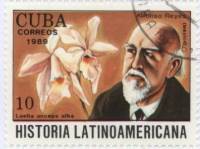 (1989-073) Марка Куба "Альфонсо Рейс"    История Латинской Америки III Θ
