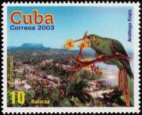 (№4549) Марка Куба 2003 год "Кубинский попугай Аратинга уиб Баракоа", Негашеная