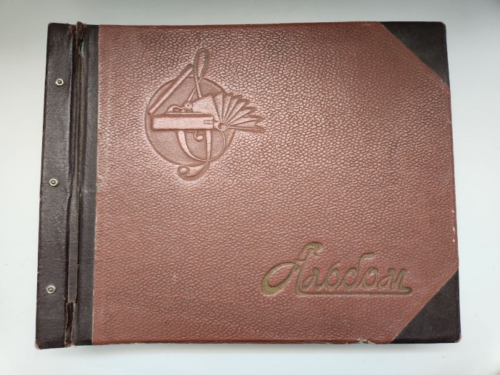 Альбом с патефонными пластинками (20 штук)