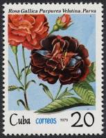 (1979-064) Марка Куба "Шиповник французский"    Розы III Θ