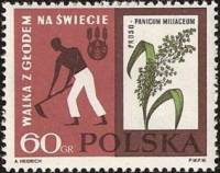 (1963-003) Марка Польша "Рабочий и просо"   Борьба с голодом III Θ