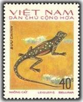 (1975-042) Марка Вьетнам "Агама-бабочка"   Рептилии III O