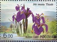 2007-041  Марка из блока Россия Ирис  Флора. Цветы III O