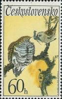 (1972-061) Марка Чехословакия "Кукушка и камышовка"    Певчие птицы III Θ