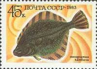 1983-055 Марка СССР Звездчатая камбала  Промысловые рыбы III Θ