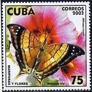 (№4547) Марка Куба 2003 год "Закат Daggerwing Marpesia требуется чтобы забронировать общих Мальва Al