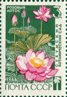 1966-069 Марка СССР Розовый лотос   Сухумский ботанический сад III Θ