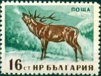 (1958-013) Марка Болгария "Олень" Перф лин 11   Дикие животные Болгарии II Θ