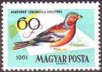 (1961-096) Марка Венгрия "Зяблик"    Певчие птицы II Θ