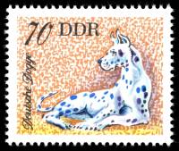 (1976-057) Марка Германия (ГДР) "Долматинец"    Собаки III Θ