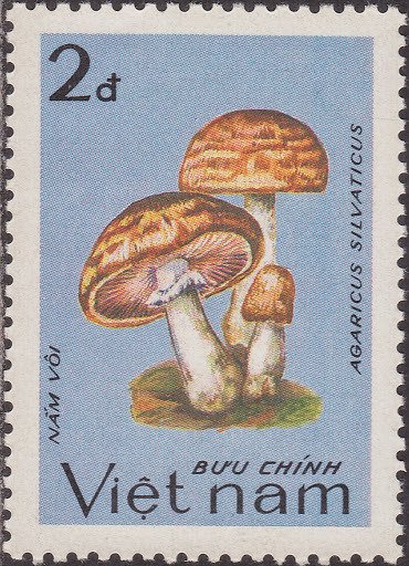 (1983-093) Марка Вьетнам "Шампиньон лесной"    Грибы II &Theta;