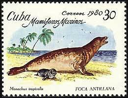 (1980-039) Марка Куба &quot;Карибский тюлень-монах&quot;    Морские млекопитающие III Θ