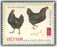 (1968-004) Марка Вьетнам "Черноногая курица"   Домашние птицы II Θ