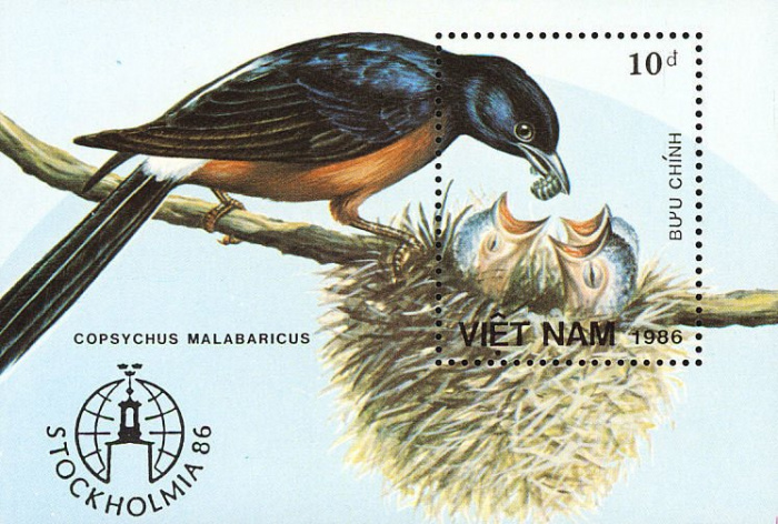 (1986-057) Блок марок  Вьетнам &quot;Белопоясничный шама-дрозд&quot;    Птицы III O