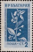 (1953-034) Марка Болгария "Беладонна (Красавка)"   Лекарственные растения Болгарии (1) II Θ
