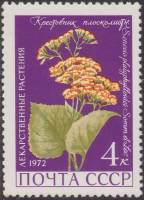 1972-019 Марка СССР Крестовник плосколистный   Лекарственные растения III O