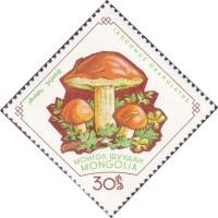 (1964-005) Марка Монголия "Маслёнок"    Грибы III Θ