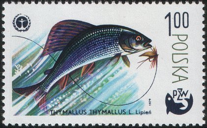 (1979-017) Марка Польша &quot;Европейский хариус&quot;    100 лет спортивной рыбалке III Θ
