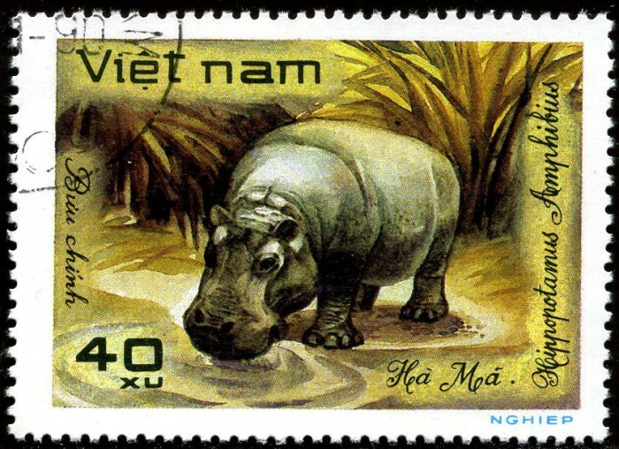 (1981-048a) Марка Вьетнам &quot;Гиппопотам&quot;  Без перфорации  Дикие животные III Θ
