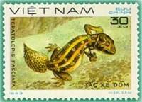 (1983-026) Марка Вьетнам "Геккон с морковным хвостом"    Рептилии III Θ